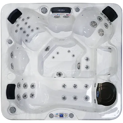 Avalon EC-849L hot tubs for sale in Waukegan