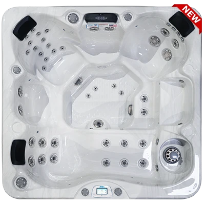 Avalon-X EC-849LX hot tubs for sale in Waukegan